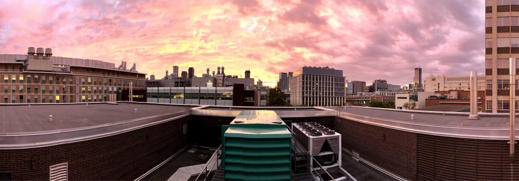 McLennan Physics Building roof