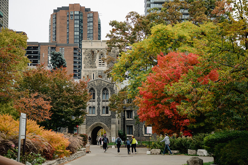 Fall colours at the Victoria College
