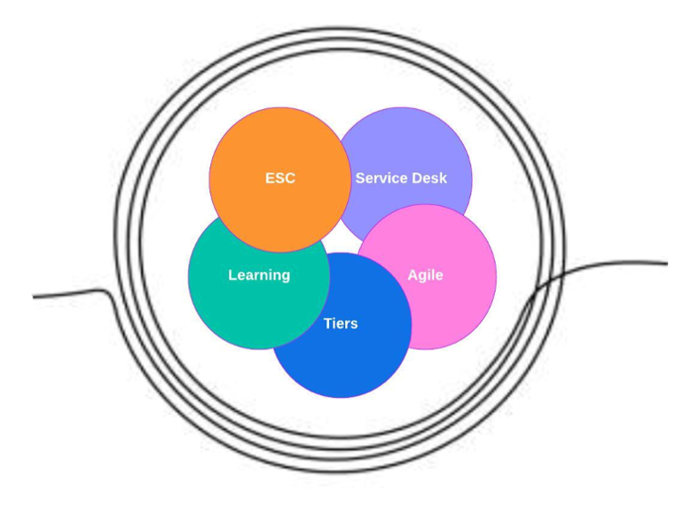 Five components in the transformation: ESC, learning, tiers, agile and service desk.